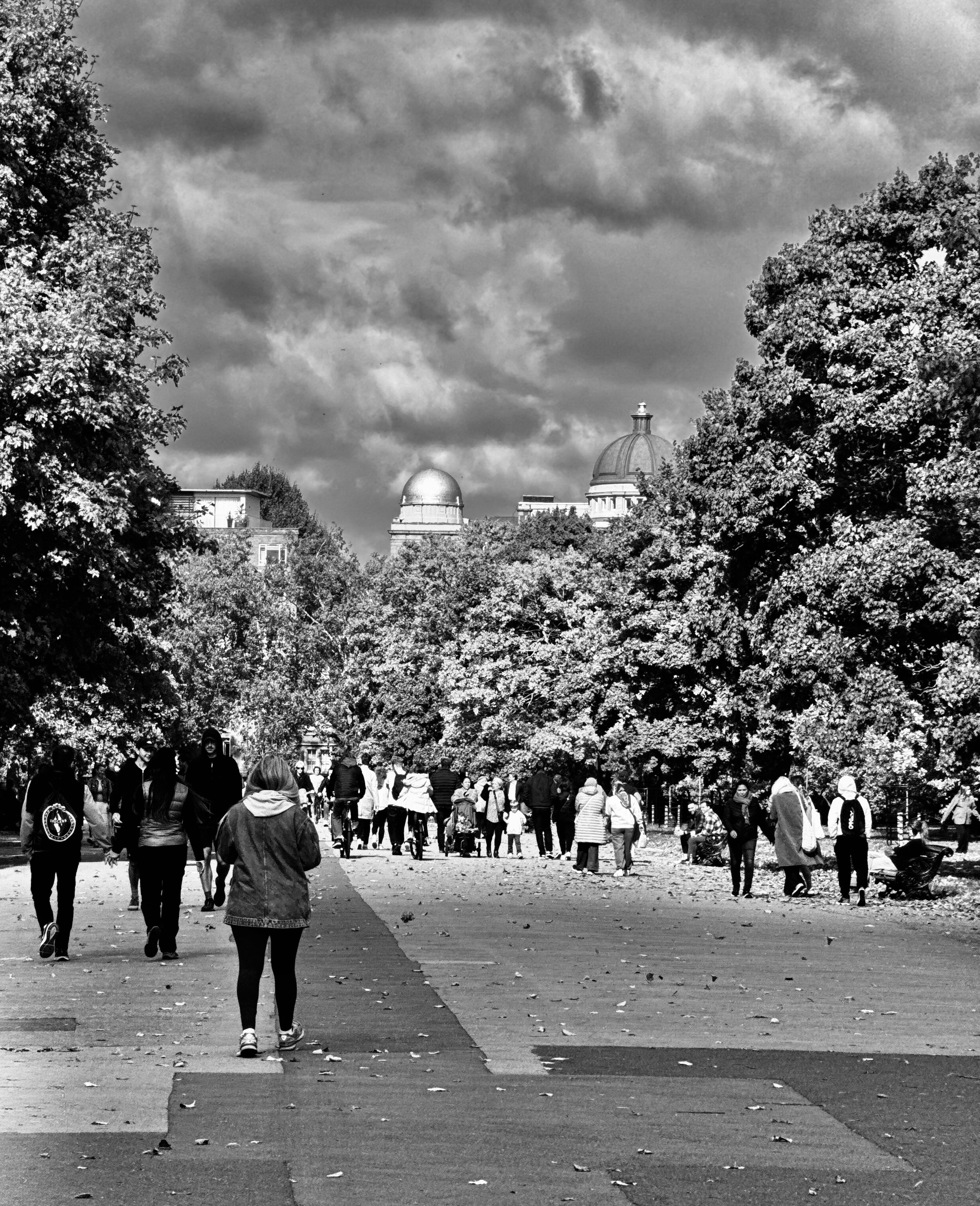 IMG_1825-1_BW.JPEG