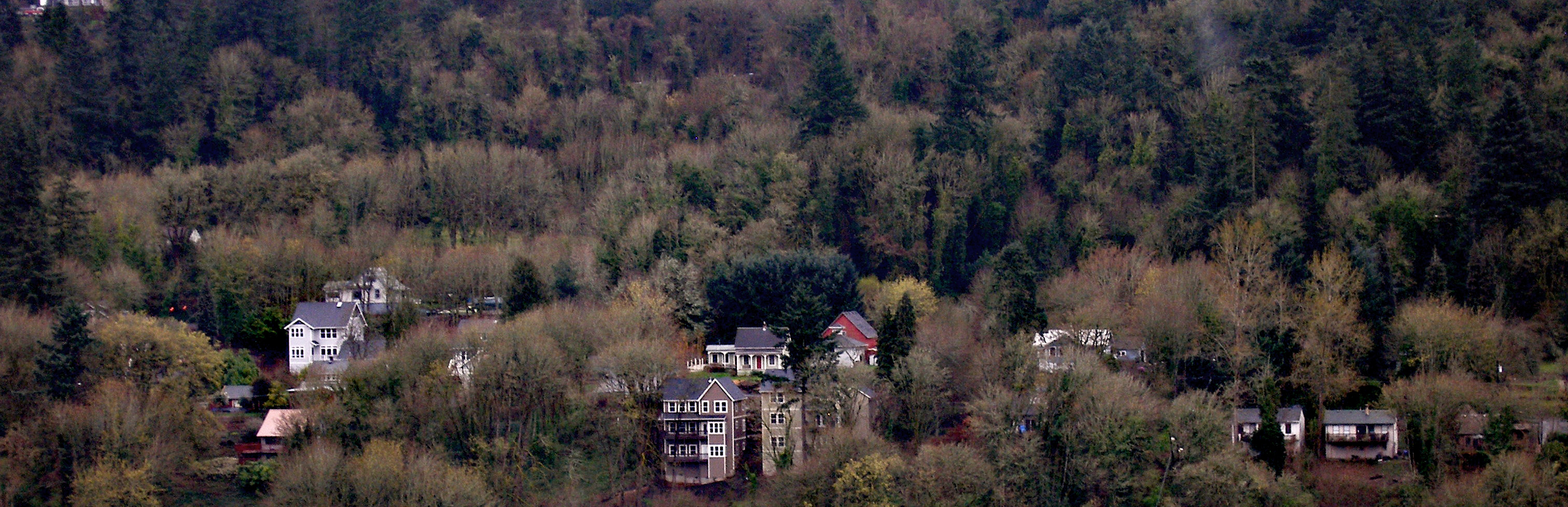 HOUSES.JPG