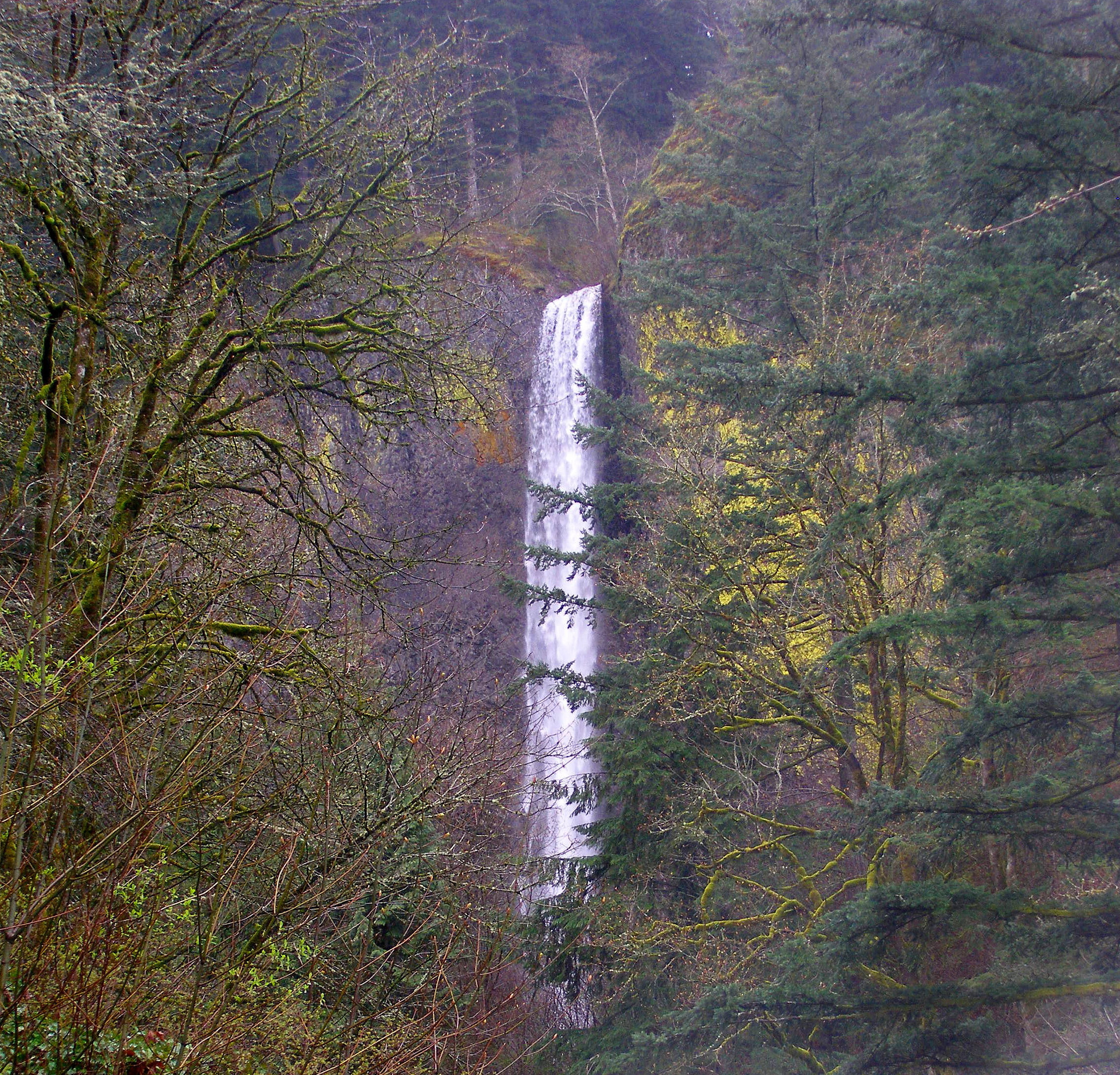 HIGH_FALLS.JPG