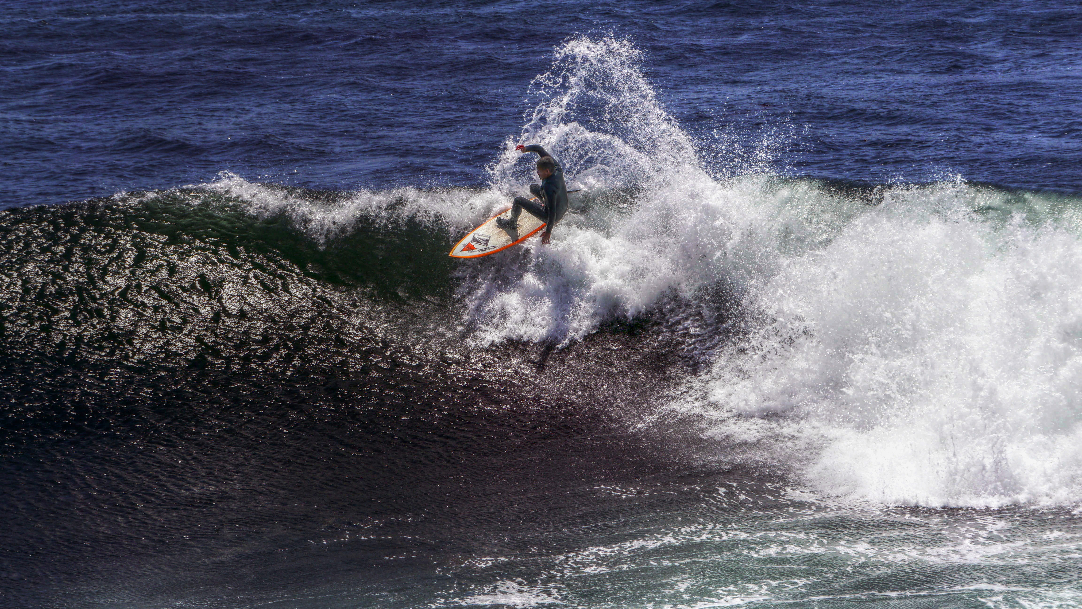 SHREDDING.JPG