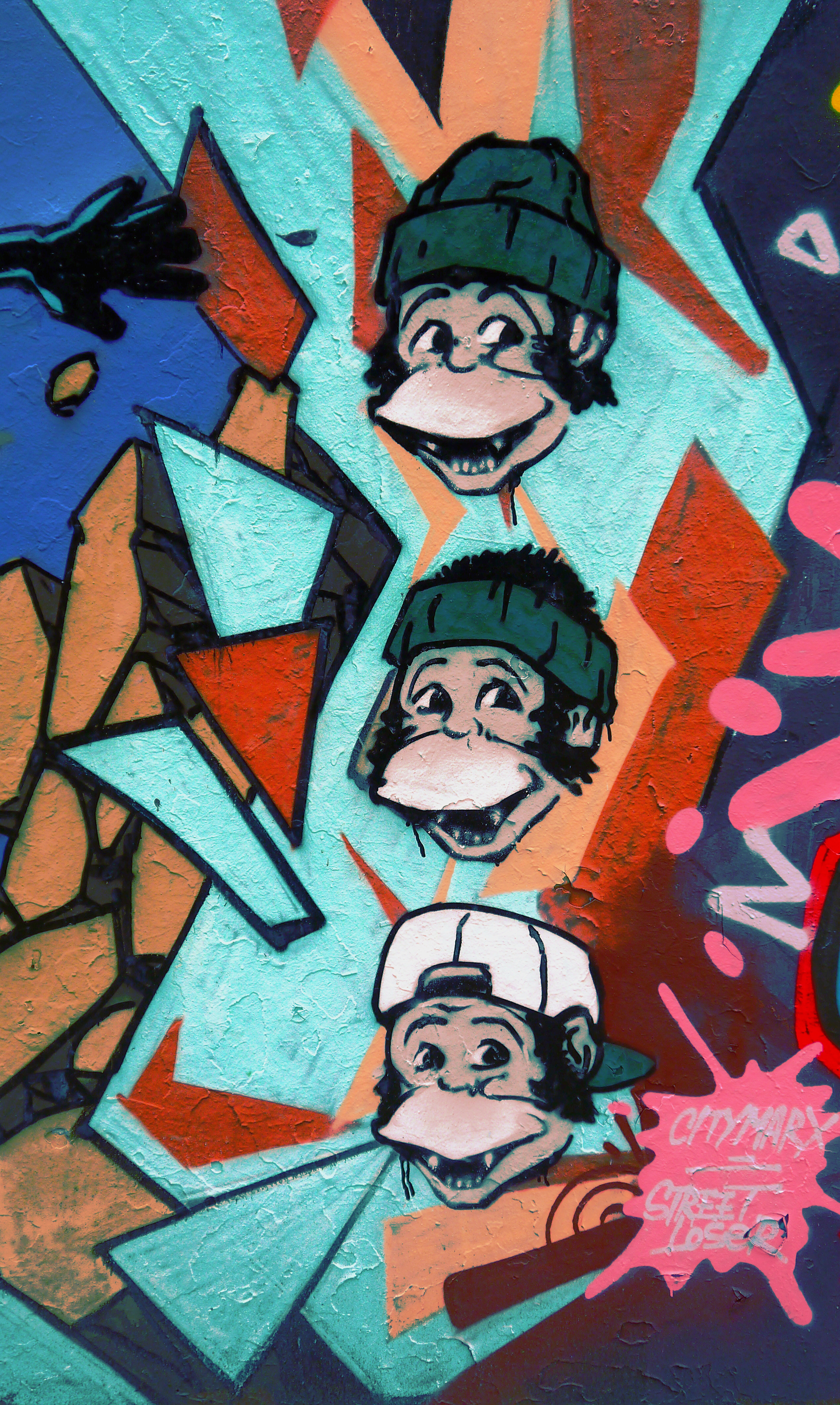 MONKEYS.JPG